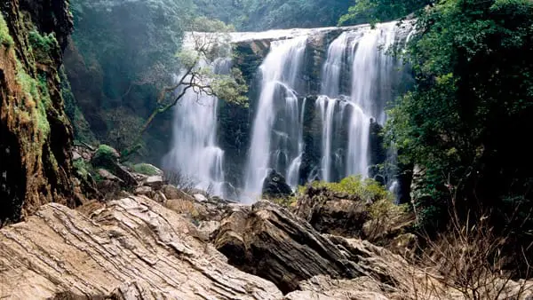 INDIA3