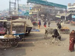 INDIA8