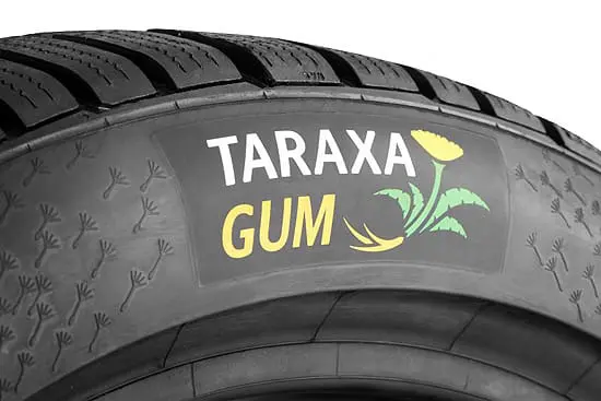 Taraxagum-img-02