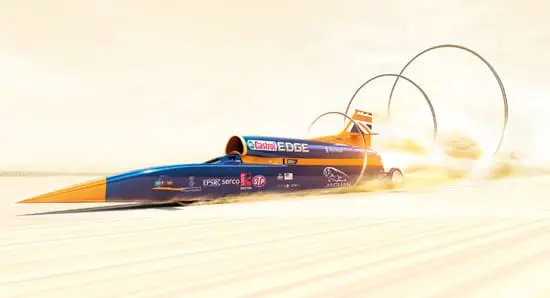 Bloodhound-img-01