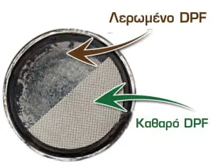 dpf 10
