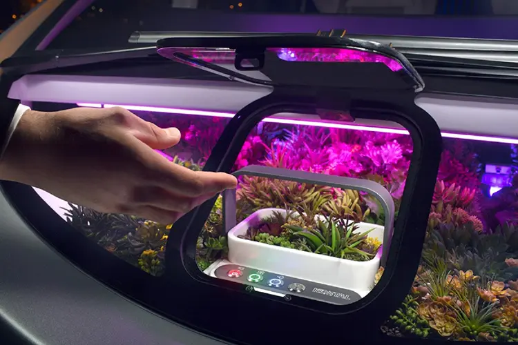 Rinspeed OASIS
