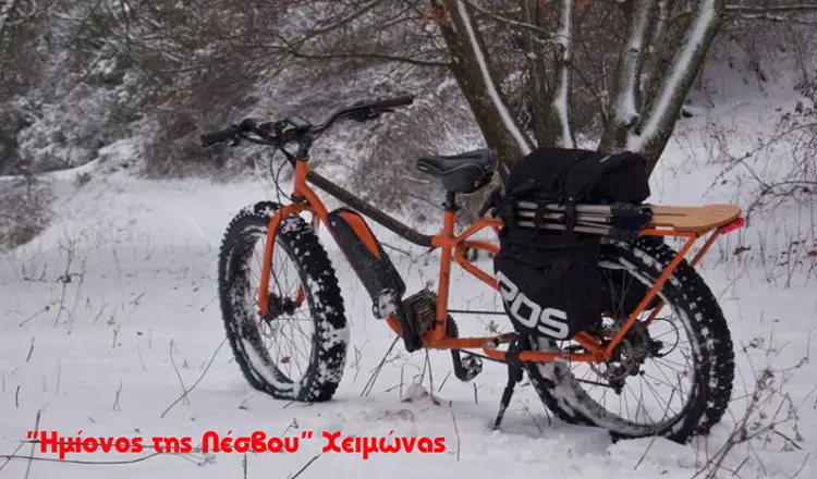 Ημίονος