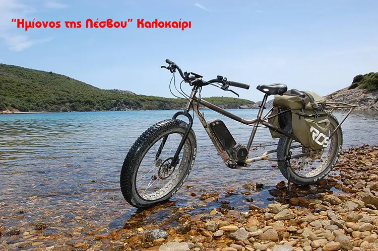 Ημίονος