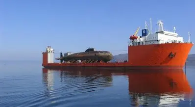 Τα μεγαλύτερα τεράστια πλοία του κόσμου