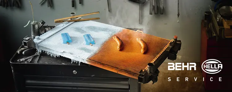 tsiknopepti1