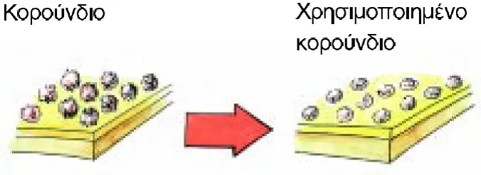 trivi6