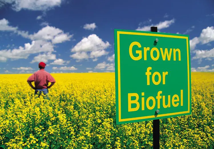 biofuels2