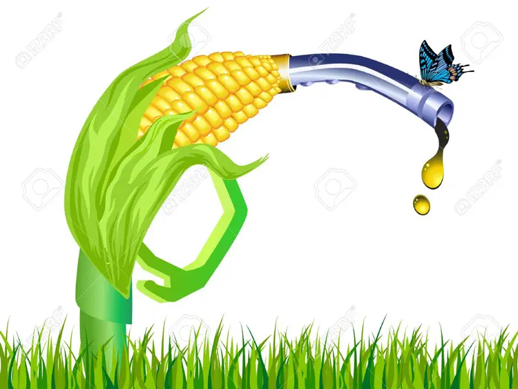 biofuels3