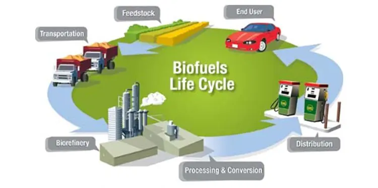 biofuels4