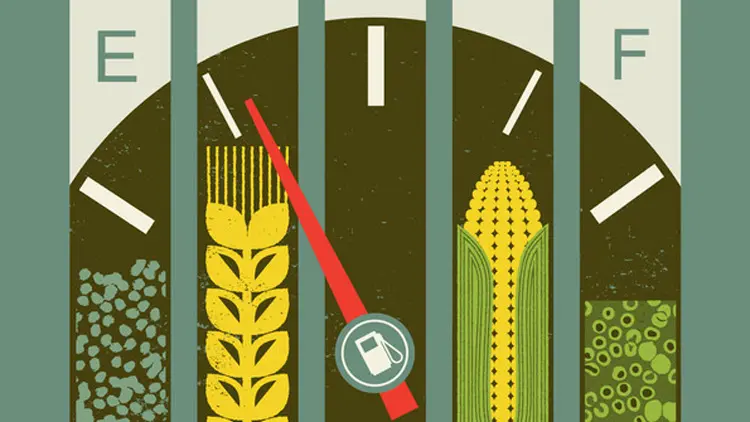 biofuels5
