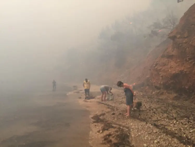 Πύρινη κόλαση και Τραγωδία. Όλη η Ελλάδα πενθεί για τις ανθρώπινες ζωές που χάθηκαν άδικα.