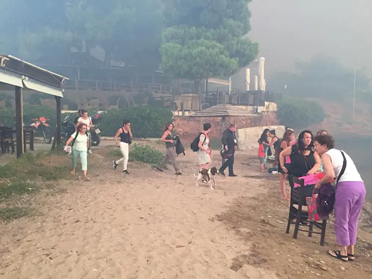 Πύρινη κόλαση και Τραγωδία. Όλη η Ελλάδα πενθεί για τις ανθρώπινες ζωές που χάθηκαν άδικα.