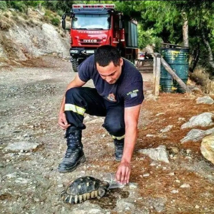 Πύρινη κόλαση και Τραγωδία. Όλη η Ελλάδα πενθεί για τις ανθρώπινες ζωές που χάθηκαν άδικα.