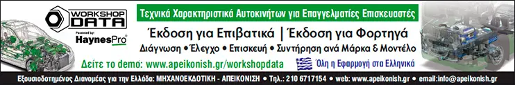 WorkshopData Car Truck