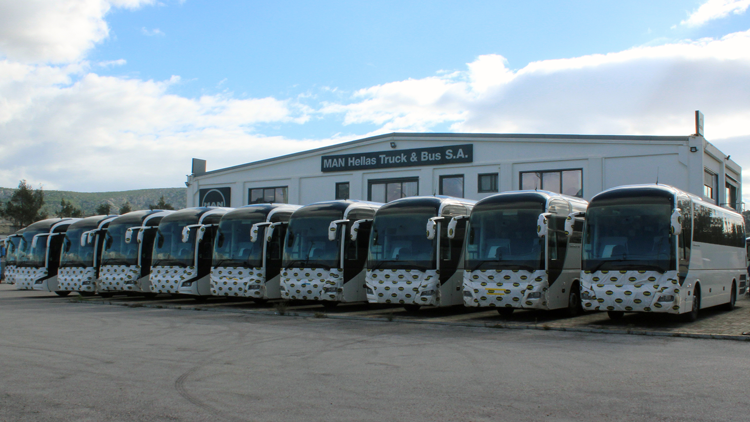 Lion Coach delivery1