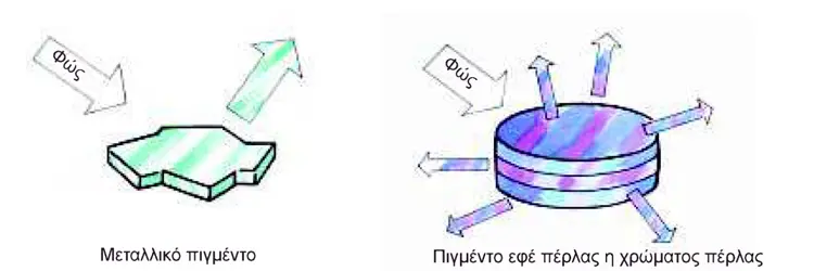 pigmeda