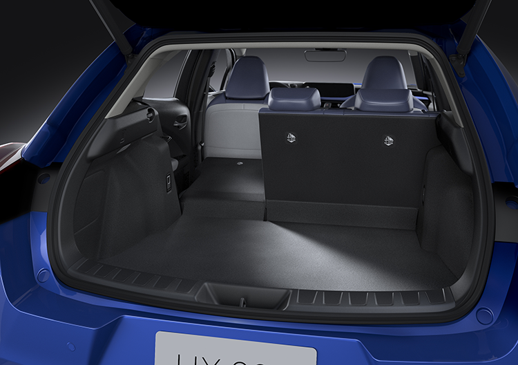 LEXUS UX 300e