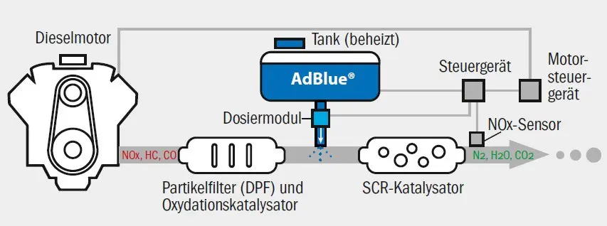 PROSTHETO AD BLUE