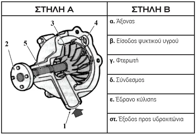 pann.ex 1